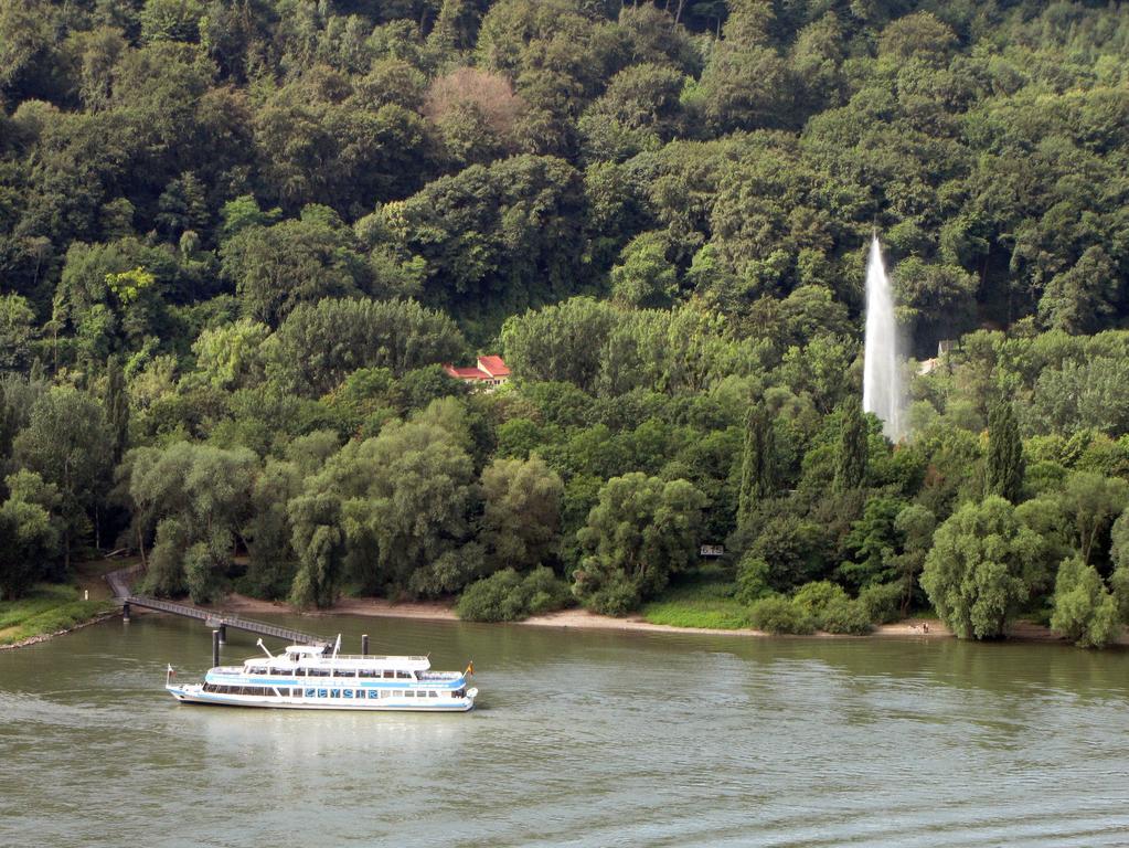 Ferienwohnung Weber-Rolinger Andernach Kültér fotó